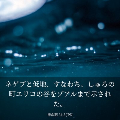 Picture 03 - 申命記 34:3 JPN - ネゲブと低地、すなわち、しゅろの - Bible Verse Picture