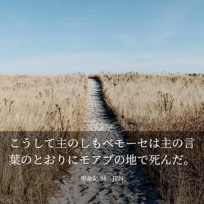 Picture 03 - 申命記 34:5 JPN - こうして主のしもべモーセは主の言 - Bible Verse Picture