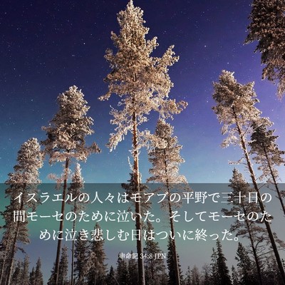 Picture 03 - 申命記 34:8 JPN - イスラエルの人々はモアブの平野で - Bible Verse Picture