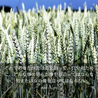 Picture 03 - 申命記 4:16 JPN - それであなたがたは道を誤って、自 - Bible Verse Picture