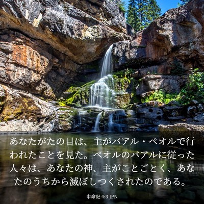 Picture 03 - 申命記 4:3 JPN - あなたがたの目は、主がバアル・ペ - Bible Verse Picture