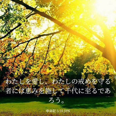 Picture 03 - 申命記 5:10 JPN - わたしを愛し、わたしの戒めを守る - Bible Verse Picture