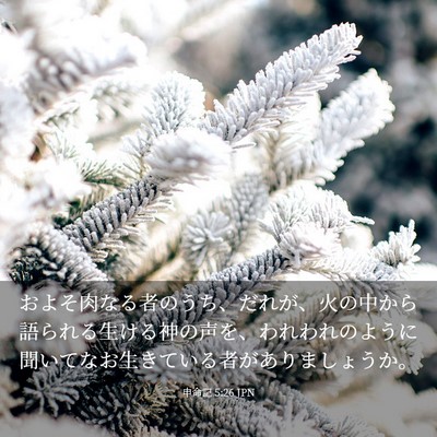 Picture 03 - 申命記 5:26 JPN - およそ肉なる者のうち、だれが、火 - Bible Verse Picture