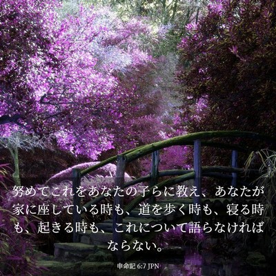 Picture 03 - 申命記 6:7 JPN - 努めてこれをあなたの子らに教え、 - Bible Verse Picture