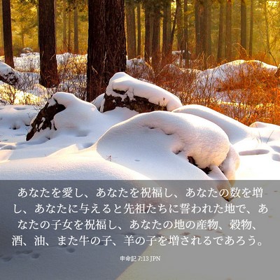 Picture 03 - 申命記 7:13 JPN - あなたを愛し、あなたを祝福し、あ - Bible Verse Picture