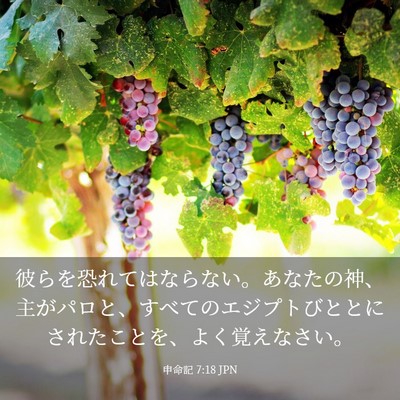 Picture 03 - 申命記 7:18 JPN - 彼らを恐れてはならない。あなたの - Bible Verse Picture