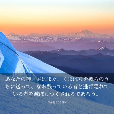 Picture 03 - 申命記 7:20 JPN - あなたの神、主はまた、くまばちを - Bible Verse Picture
