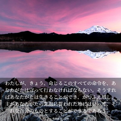 Picture 03 - 申命記 8:1 JPN - わたしが、きょう、命じるこのすべ - Bible Verse Picture