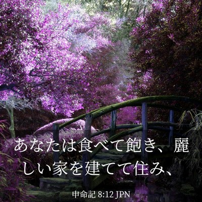 Picture 03 - 申命記 8:12 JPN - あなたは食べて飽き、麗しい家を建 - Bible Verse Picture