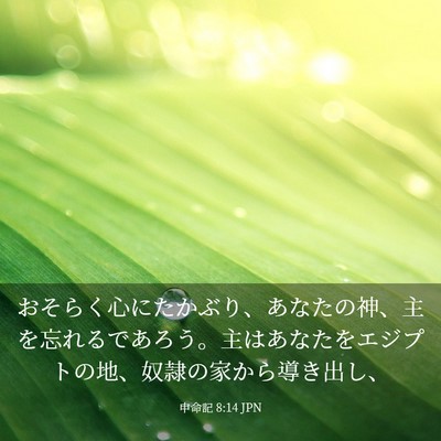 Picture 03 - 申命記 8:14 JPN - おそらく心にたかぶり、あなたの神 - Bible Verse Picture