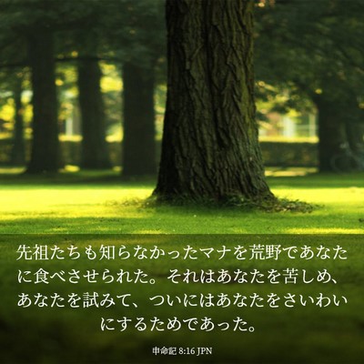 Picture 03 - 申命記 8:16 JPN - 先祖たちも知らなかったマナを荒野 - Bible Verse Picture