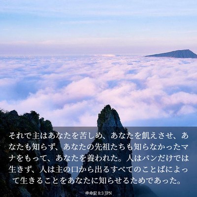 Picture 03 - 申命記 8:3 JPN - それで主はあなたを苦しめ、あなた - Bible Verse Picture