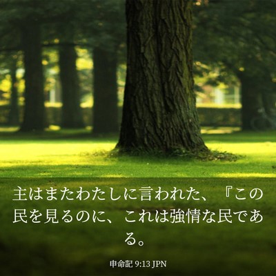 Picture 03 - 申命記 9:13 JPN - 主はまたわたしに言われた、『この - Bible Verse Picture