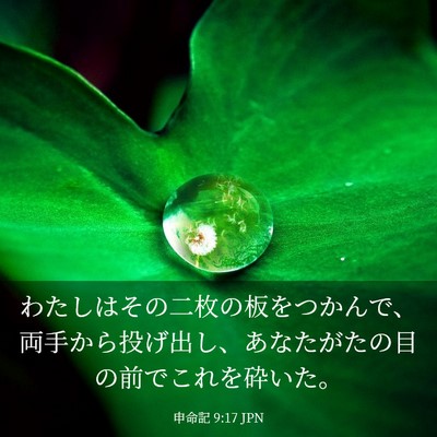 Picture 03 - 申命記 9:17 JPN - わたしはその二枚の板をつかんで、 - Bible Verse Picture