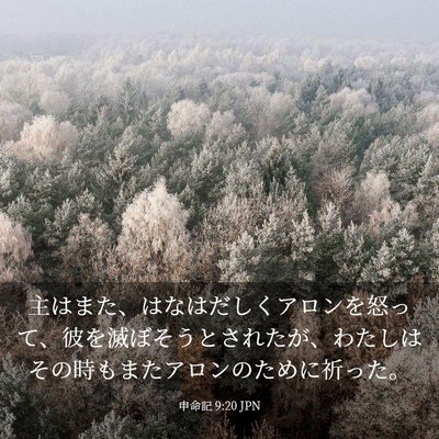 Picture 03 - 申命記 9:20 JPN - 主はまた、はなはだしくアロンを怒 - Bible Verse Picture