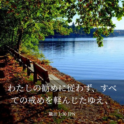 Picture 03 - 箴言 1:30 JPN - わたしの勧めに従わず、すべての戒 - Bible Verse Picture