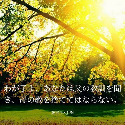 Picture 03 - 箴言 1:8 JPN - わが子よ、あなたは父の教訓を聞き - Bible Verse Picture