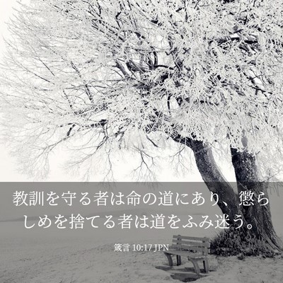 Picture 03 - 箴言 10:17 JPN - 教訓を守る者は命の道にあり、懲ら - Bible Verse Picture