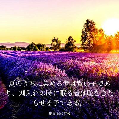 Picture 03 - 箴言 10:5 JPN - 夏のうちに集める者は賢い子であり - Bible Verse Picture