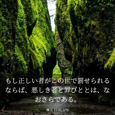 Picture 03 - 箴言 11:31 JPN - もし正しい者がこの世で罰せられる - Bible Verse Picture