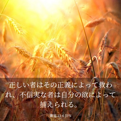 Picture 03 - 箴言 11:6 JPN - 正しい者はその正義によって救われ - Bible Verse Picture
