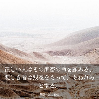 Picture 03 - 箴言 12:10 JPN - 正しい人はその家畜の命を顧みる、 - Bible Verse Picture