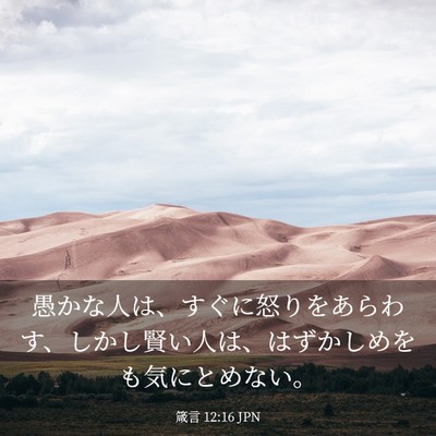 Picture 03 - 箴言 12:16 JPN - 愚かな人は、すぐに怒りをあらわす - Bible Verse Picture
