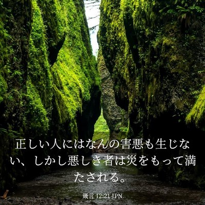 Picture 03 - 箴言 12:21 JPN - 正しい人にはなんの害悪も生じない - Bible Verse Picture