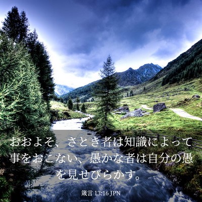 Picture 03 - 箴言 13:16 JPN - おおよそ、さとき者は知識によって - Bible Verse Picture