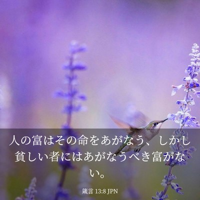 Picture 03 - 箴言 13:8 JPN - 人の富はその命をあがなう、しかし - Bible Verse Picture