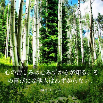 Picture 03 - 箴言 14:10 JPN - 心の苦しみは心みずからが知る、そ - Bible Verse Picture