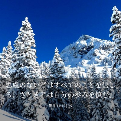 Picture 03 - 箴言 14:15 JPN - 思慮のない者はすべてのことを信じ - Bible Verse Picture