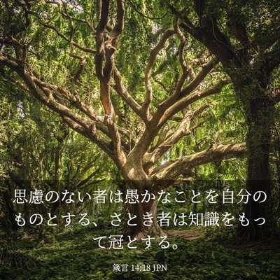 Picture 03 - 箴言 14:18 JPN - 思慮のない者は愚かなことを自分の - Bible Verse Picture