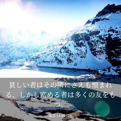 Picture 03 - 箴言 14:20 JPN - 貧しい者はその隣にさえも憎まれる - Bible Verse Picture