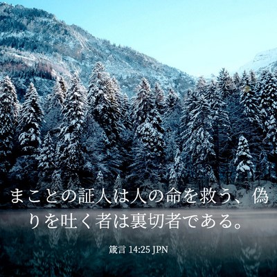 Picture 03 - 箴言 14:25 JPN - まことの証人は人の命を救う、偽り - Bible Verse Picture