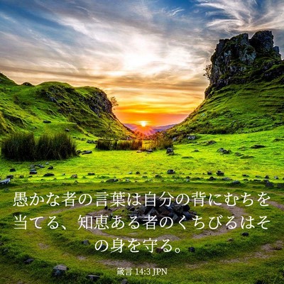 Picture 03 - 箴言 14:3 JPN - 愚かな者の言葉は自分の背にむちを - Bible Verse Picture