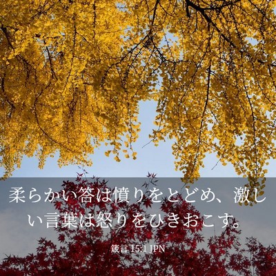 Picture 03 - 箴言 15:1 JPN - 柔らかい答は憤りをとどめ、激しい - Bible Verse Picture
