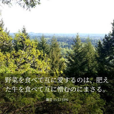 Picture 03 - 箴言 15:17 JPN - 野菜を食べて互に愛するのは、肥え - Bible Verse Picture