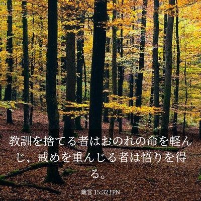 Picture 03 - 箴言 15:32 JPN - 教訓を捨てる者はおのれの命を軽ん - Bible Verse Picture