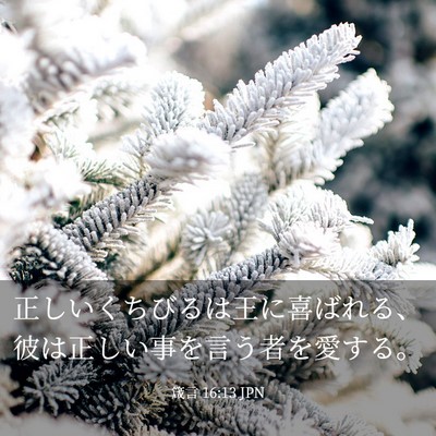 Picture 03 - 箴言 16:13 JPN - 正しいくちびるは王に喜ばれる、彼 - Bible Verse Picture