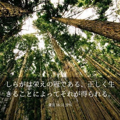 Picture 03 - 箴言 16:31 JPN - しらがは栄えの冠である、正しく生 - Bible Verse Picture