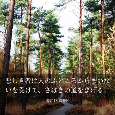 Picture 03 - 箴言 17:23 JPN - 悪しき者は人のふところからまいな - Bible Verse Picture