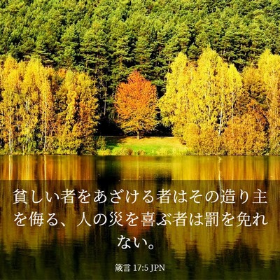 Picture 03 - 箴言 17:5 JPN - 貧しい者をあざける者はその造り主 - Bible Verse Picture