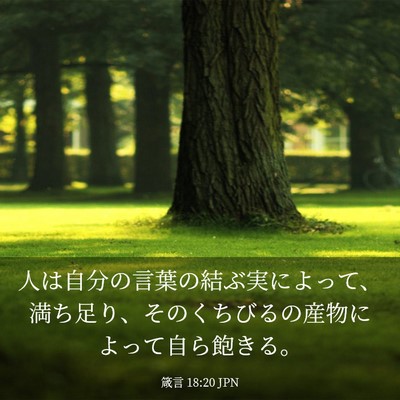 Picture 03 - 箴言 18:20 JPN - 人は自分の言葉の結ぶ実によって、 - Bible Verse Picture