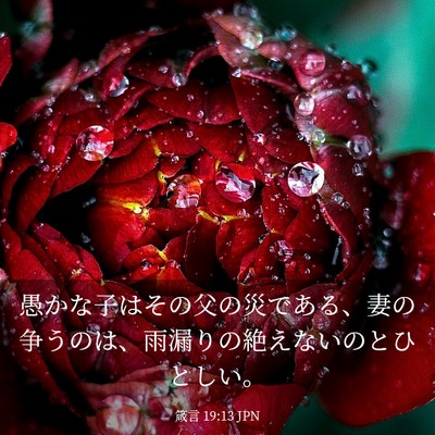 Picture 03 - 箴言 19:13 JPN - 愚かな子はその父の災である、妻の - Bible Verse Picture