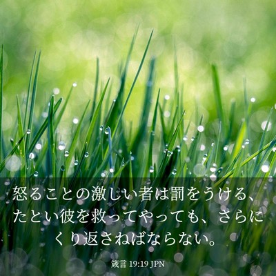 Picture 03 - 箴言 19:19 JPN - 怒ることの激しい者は罰をうける、 - Bible Verse Picture
