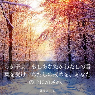 Picture 03 - 箴言 2:1 JPN - わが子よ、もしあなたがわたしの言 - Bible Verse Picture