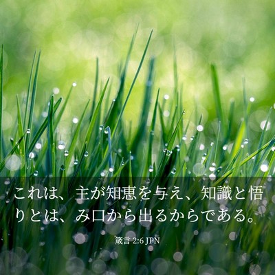 Picture 03 - 箴言 2:6 JPN - これは、主が知恵を与え、知識と悟 - Bible Verse Picture