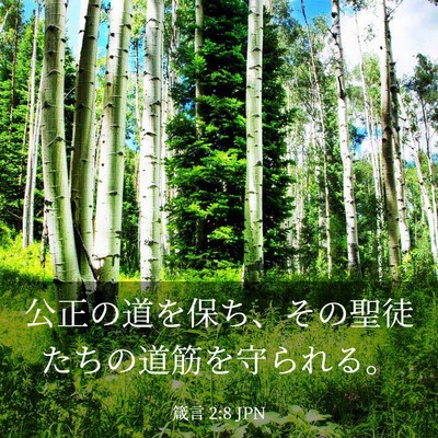 Picture 03 - 箴言 2:8 JPN - 公正の道を保ち、その聖徒たちの道 - Bible Verse Picture