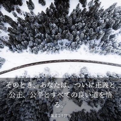 Picture 03 - 箴言 2:9 JPN - そのとき、あなたは、ついに正義と - Bible Verse Picture